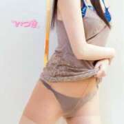 ヒメ日記 2026/02/17 14:54 投稿 樹希(いつき) 可憐な妻たち 高崎店