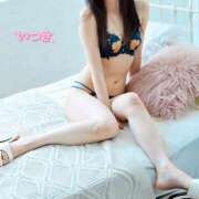 ヒメ日記 2026/03/26 09:57 投稿 樹希(いつき) 可憐な妻たち 高崎店