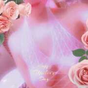 ヒメ日記 2025/06/01 01:03 投稿 彩(あや) 可憐な妻たち 高崎店