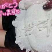 ヒメ日記 2025/06/08 00:33 投稿 いずみ 茨城ちゃんこ土浦つくば店