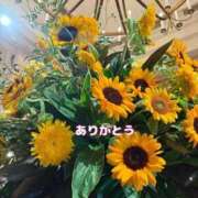 ヒメ日記 2026/07/16 10:26 投稿 こころ 変態なんでも鑑定団