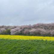 ヒメ日記 2025/04/17 22:20 投稿 かずは マリアージュ熊谷