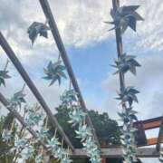 ヒメ日記 2025/08/11 00:20 投稿 かずは マリアージュ熊谷