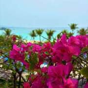 ヒメ日記 2025/05/07 21:04 投稿 友利 なな HANA-okinawa-