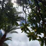 ヒメ日記 2025/06/13 10:18 投稿 友利 なな HANA-okinawa-