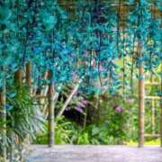 ヒメ日記 2025/09/22 11:12 投稿 友利 なな HANA-okinawa-