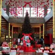 ヒメ日記 2025/11/14 11:18 投稿 友利 なな HANA-okinawa-