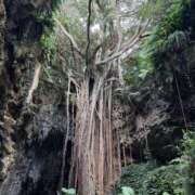 ヒメ日記 2025/12/09 10:18 投稿 友利 なな HANA-okinawa-