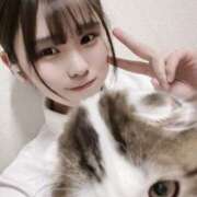 ヒメ日記 2026/04/02 10:55 投稿 NHちすず a．bitch α