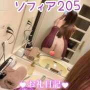 うみか ソフィア205 サンキュー沼津店（サンキューグループ）