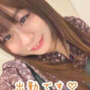 ヒメ日記 2025/12/29 12:20 投稿 うみか サンキュー沼津店（サンキューグループ）