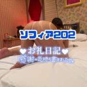 ヒメ日記 2025/12/29 17:42 投稿 うみか サンキュー沼津店（サンキューグループ）