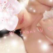 ヒメ日記 2025/04/03 23:02 投稿 ちさ 錦糸町人妻セレブリティ（ユメオト）