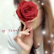 ヒメ日記 2025/06/01 00:07 投稿 ちさ 錦糸町人妻セレブリティ（ユメオト）