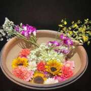 ヒメ日記 2025/04/28 23:57 投稿 あやめ ロイヤルヴィトン(宇都宮)