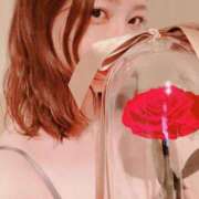 ヒメ日記 2026/02/03 12:08 投稿 あやめ ロイヤルヴィトン(宇都宮)