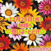 ヒメ日記 2024/12/25 16:51 投稿 ののか モアグループ大宮人妻花壇