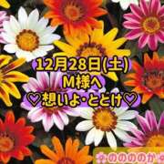 ヒメ日記 2024/12/28 18:36 投稿 ののか モアグループ大宮人妻花壇