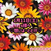 ヒメ日記 2025/01/11 17:45 投稿 ののか モアグループ大宮人妻花壇