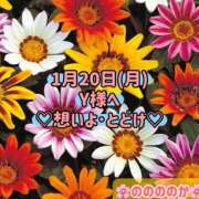 ヒメ日記 2025/01/20 17:30 投稿 ののか モアグループ大宮人妻花壇