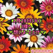 ヒメ日記 2025/01/28 17:30 投稿 ののか モアグループ大宮人妻花壇