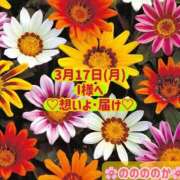 ヒメ日記 2025/03/18 13:18 投稿 ののか モアグループ大宮人妻花壇