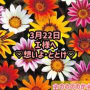 ヒメ日記 2025/03/23 11:12 投稿 ののか モアグループ大宮人妻花壇