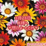 ヒメ日記 2025/03/28 16:18 投稿 ののか モアグループ大宮人妻花壇