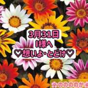 ヒメ日記 2025/04/01 16:18 投稿 ののか モアグループ大宮人妻花壇