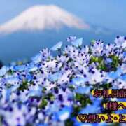 ヒメ日記 2025/05/28 11:18 投稿 ののか モアグループ大宮人妻花壇