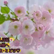 ヒメ日記 2025/05/28 14:18 投稿 ののか モアグループ大宮人妻花壇