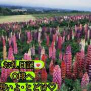 ヒメ日記 2025/05/31 18:18 投稿 ののか モアグループ大宮人妻花壇