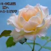 ヒメ日記 2025/06/03 15:33 投稿 ののか モアグループ大宮人妻花壇