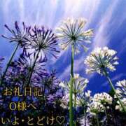 ヒメ日記 2025/06/17 14:18 投稿 ののか モアグループ大宮人妻花壇