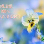 ヒメ日記 2025/06/18 16:18 投稿 ののか モアグループ大宮人妻花壇