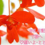 ヒメ日記 2025/06/19 16:27 投稿 ののか モアグループ大宮人妻花壇