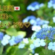 ヒメ日記 2025/06/25 16:18 投稿 ののか モアグループ大宮人妻花壇