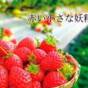 ヒメ日記 2025/10/10 08:24 投稿 ののか モアグループ大宮人妻花壇