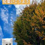 ヒメ日記 2025/11/04 13:18 投稿 ののか モアグループ大宮人妻花壇