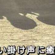 ヒメ日記 2025/11/28 11:33 投稿 ののか モアグループ大宮人妻花壇