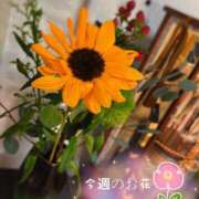 ヒメ日記 2026/03/29 16:12 投稿 ののか モアグループ大宮人妻花壇