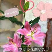 ヒメ日記 2026/05/11 13:18 投稿 ののか モアグループ大宮人妻花壇