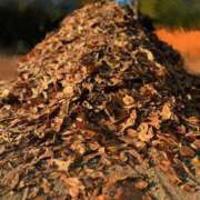 ヒメ日記 2024/12/08 11:06 投稿 ののか モアグループ春日部人妻城