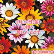 ヒメ日記 2025/01/17 16:54 投稿 ののか モアグループ春日部人妻城