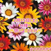 ヒメ日記 2025/02/15 18:57 投稿 ののか モアグループ春日部人妻城