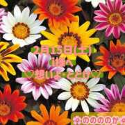 ヒメ日記 2025/02/15 21:49 投稿 ののか モアグループ春日部人妻城