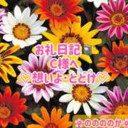 ヒメ日記 2025/02/19 12:19 投稿 ののか モアグループ春日部人妻城