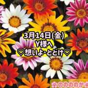 ヒメ日記 2025/03/14 13:42 投稿 ののか モアグループ春日部人妻城