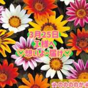 ヒメ日記 2025/03/25 16:18 投稿 ののか モアグループ春日部人妻城