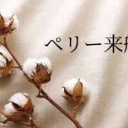 ヒメ日記 2025/04/03 14:18 投稿 ののか モアグループ春日部人妻城